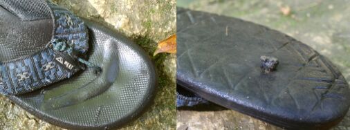 Successful repair of flip-flops. Need string, utility knife, gas lighter.