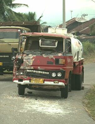 Another one from Sulawesi, Indonesia