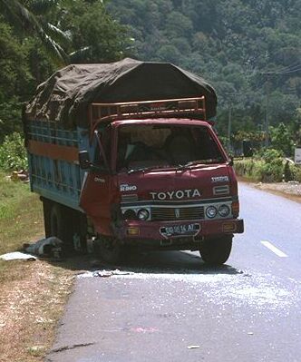 This one from Sulawesi, Indonesia