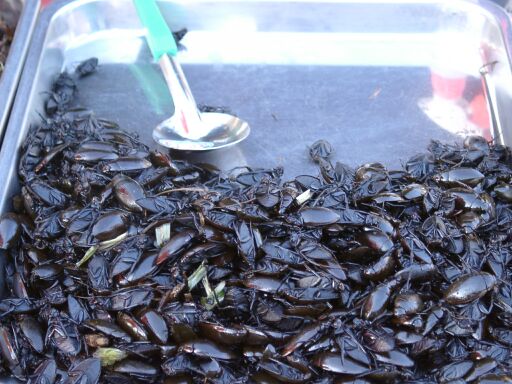 They are mostly dead