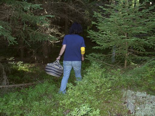 Bringing along a basket