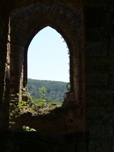 Window view
