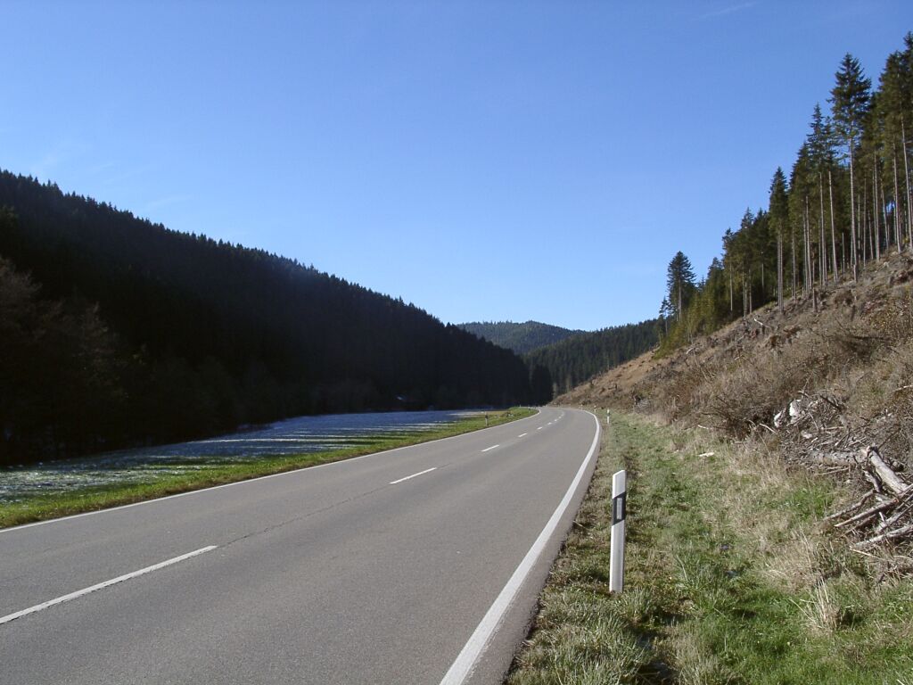 Black Forest road in spring