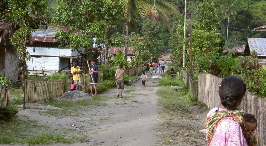 Moa Village