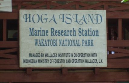 The Marine Research Station / Wallacea HQ on Hoga Island
