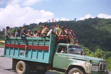 Lucky, don't have to walk (Sulawesi)