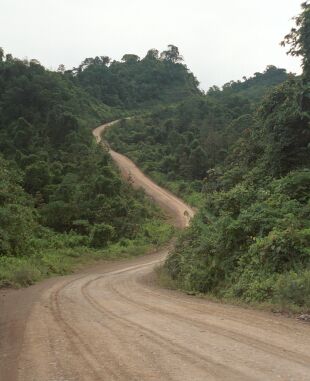 Logging Road