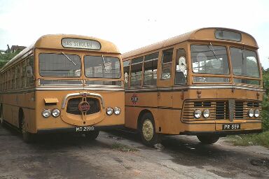 Schoolbusses in Melaka, Malaysia